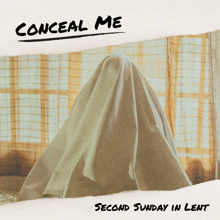 Conceal Me